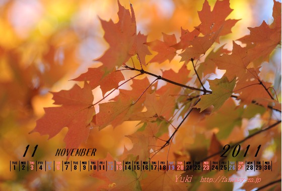2011年11月のカレンダー　紅葉