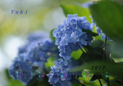 2012年６月　カレンダー　アジサイ