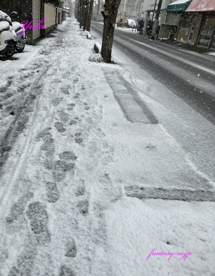 道路に積雪