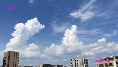 夏の雲